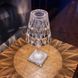 Декоративная настольная LED лампа Хрустальная с сенсором и аккумулятором (NL05) NL05 фото 2