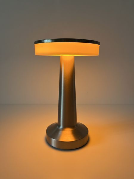 Аккумуляторная сенсорная настольная LED лампа (NL04S) NL04S фото