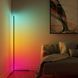 Торшер LED светодиодный с регулировкой яркости RGB 20W (TR01) TR01 фото 4